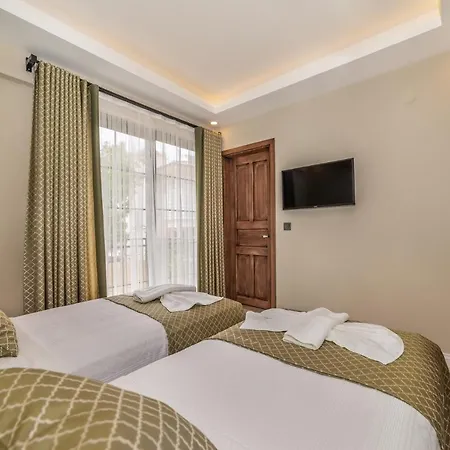 Villa Palmiye Фетхие